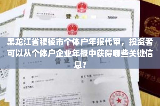 黑龙江省穆棱市个体户年报代审，投资者可以从个体户企业年报中获得哪些关键信息？