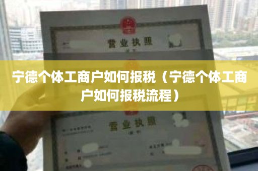 宁德个体工商户如何报税（宁德个体工商户如何报税流程）