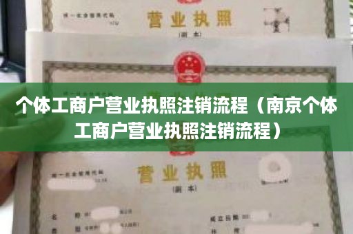 个体工商户营业执照注销流程（南京个体工商户营业执照注销流程）