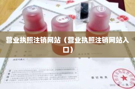 营业执照注销网站（营业执照注销网站入口）