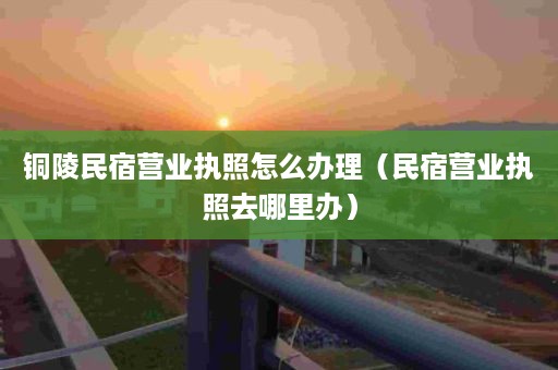 铜陵民宿营业执照怎么办理（民宿营业执照去哪里办）