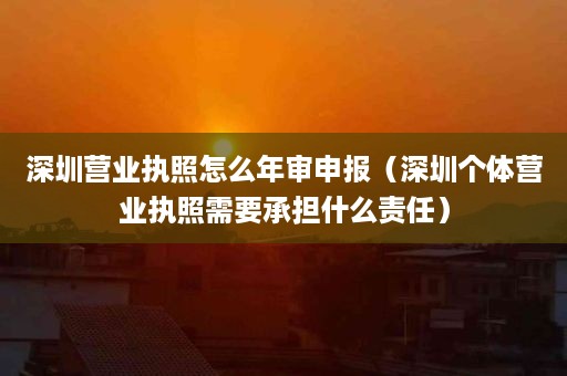 深圳营业执照怎么年审申报（深圳个体营业执照需要承担什么责任）