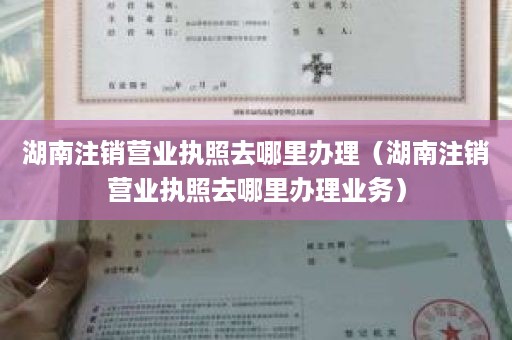 湖南注销营业执照去哪里办理（湖南注销营业执照去哪里办理业务）