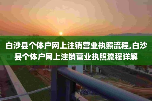 白沙县个体户网上注销营业执照流程,白沙县个体户网上注销营业执照流程详解