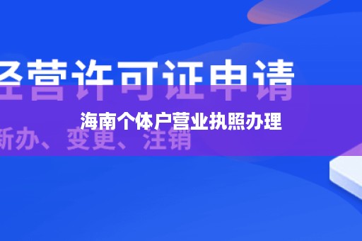 海南个体户营业执照办理