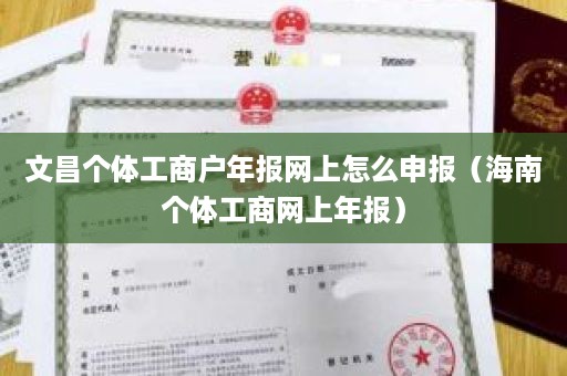 文昌个体工商户年报网上怎么申报（海南个体工商网上年报）