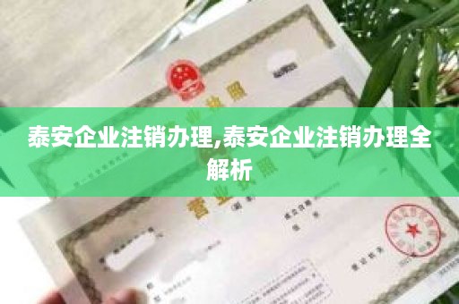 泰安企业注销办理,泰安企业注销办理全解析