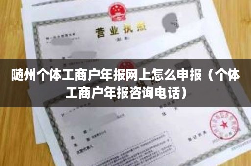 随州个体工商户年报网上怎么申报（个体工商户年报咨询电话）