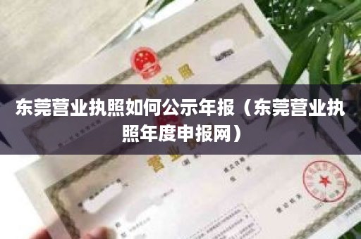 东莞营业执照如何公示年报（东莞营业执照年度申报网）