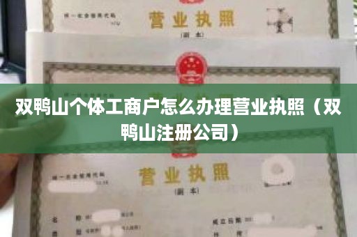 双鸭山个体工商户怎么办理营业执照（双鸭山注册公司）