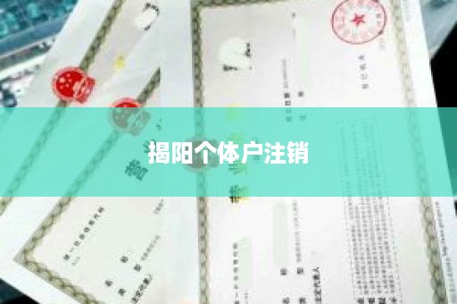 揭阳个体户注销