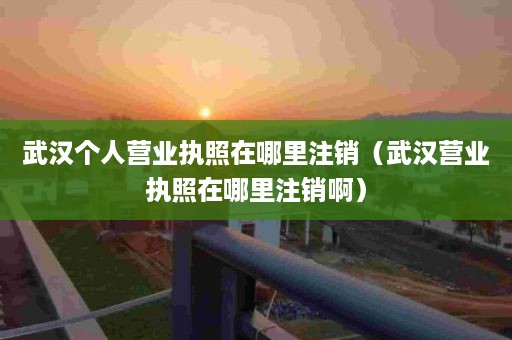 武汉个人营业执照在哪里注销（武汉营业执照在哪里注销啊）