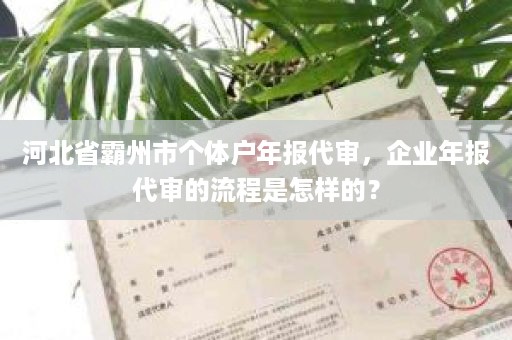 河北省霸州市个体户年报代审，企业年报代审的流程是怎样的？