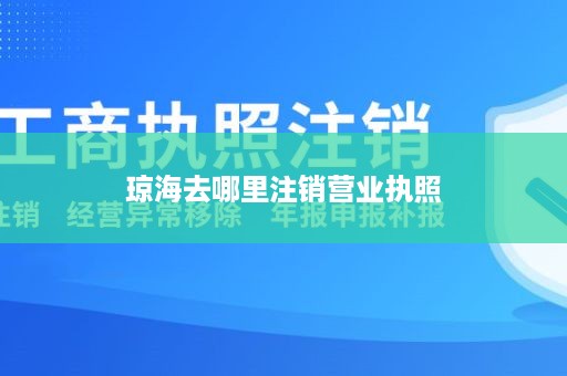 琼海去哪里注销营业执照