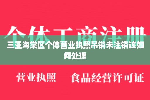 三亚海棠区个体营业执照吊销未注销该如何处理