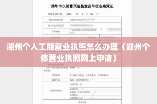 湖州个人工商营业执照怎么办理（湖州个体营业执照网上申请）