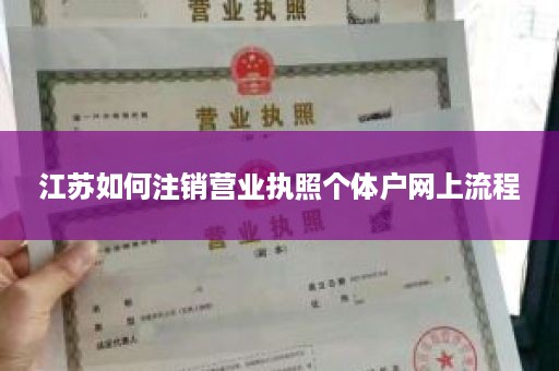 江苏如何注销营业执照个体户网上流程