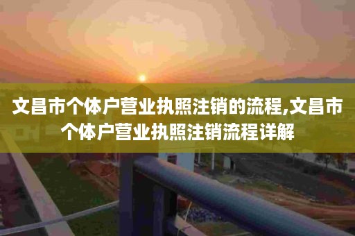 文昌市个体户营业执照注销的流程,文昌市个体户营业执照注销流程详解