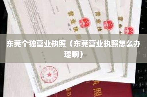 东莞个独营业执照（东莞营业执照怎么办理啊）