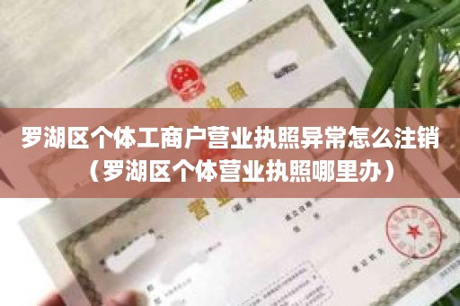 罗湖区个体工商户营业执照异常怎么注销（罗湖区个体营业执照哪里办）