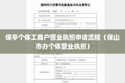 保亭个体工商户营业执照申请流程（保山市办个体营业执照）