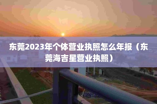 东莞2023年个体营业执照怎么年报（东莞海吉星营业执照）