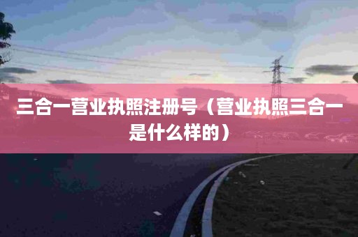 三合一营业执照注册号（营业执照三合一是什么样的）