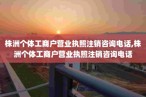 株洲个体工商户营业执照注销咨询电话,株洲个体工商户营业执照注销咨询电话