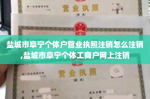 盐城市阜宁个体户营业执照注销怎么注销,盐城市阜宁个体工商户网上注销