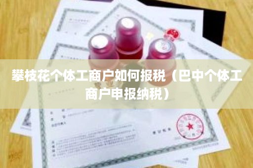 攀枝花个体工商户如何报税（巴中个体工商户申报纳税）