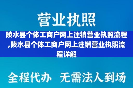 陵水县个体工商户网上注销营业执照流程,陵水县个体工商户网上注销营业执照流程详解