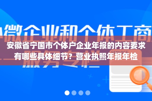 安徽省宁国市个体户企业年报的内容要求有哪些具体细节？营业执照年报年检