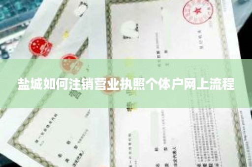 盐城如何注销营业执照个体户网上流程