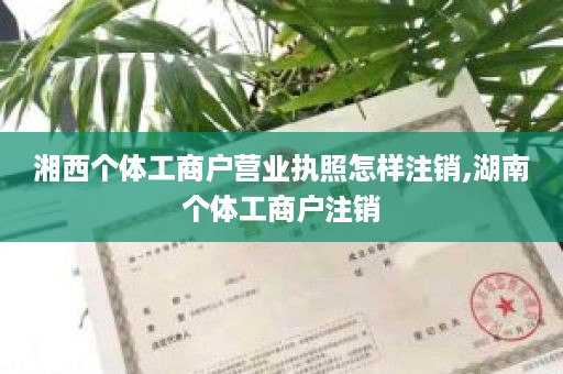 湘西个体工商户营业执照怎样注销,湖南个体工商户注销