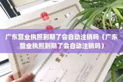 广东营业执照到期了会自动注销吗（广东营业执照到期了会自动注销吗）