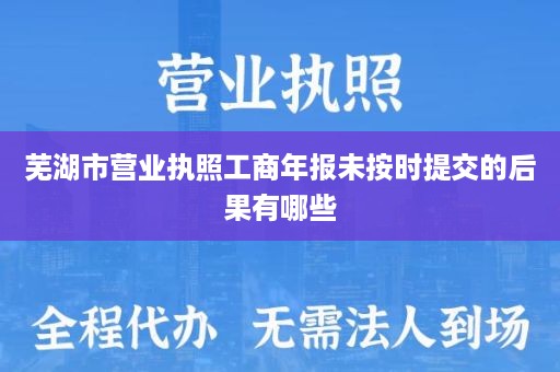 芜湖市营业执照工商年报未按时提交的后果有哪些