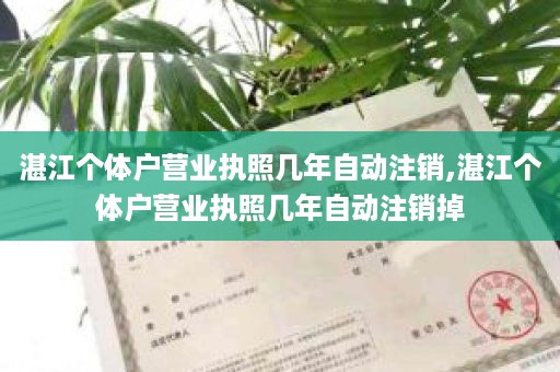 湛江个体户营业执照几年自动注销,湛江个体户营业执照几年自动注销掉