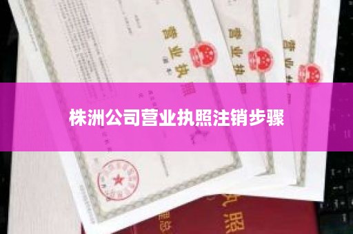 株洲公司营业执照注销步骤