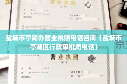 盐城市亭湖办营业执照电话咨询（盐城市亭湖区行政审批局电话）