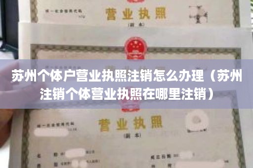 苏州个体户营业执照注销怎么办理（苏州注销个体营业执照在哪里注销）