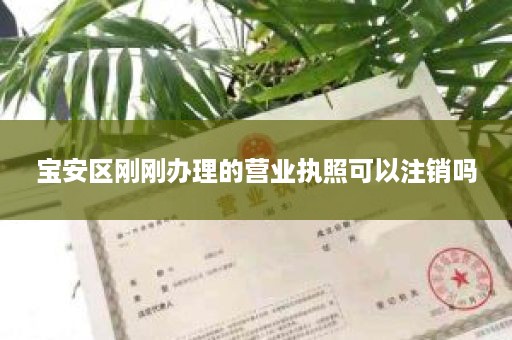 宝安区刚刚办理的营业执照可以注销吗