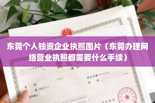 东莞个人独资企业执照图片（东莞办理网络营业执照都需要什么手续）