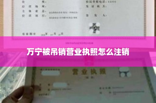 万宁被吊销营业执照怎么注销