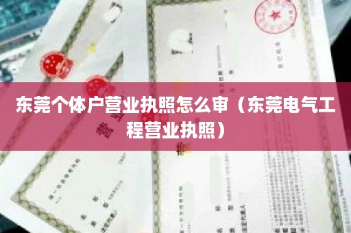 东莞个体户营业执照怎么审（东莞电气工程营业执照）