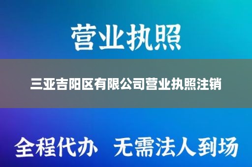 三亚吉阳区有限公司营业执照注销