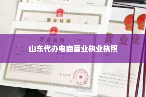 山东代办电商营业执业执照