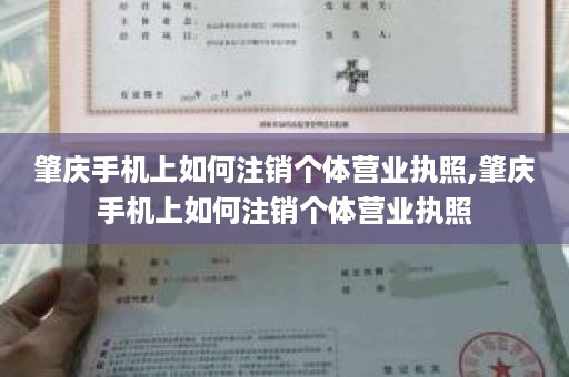 肇庆手机上如何注销个体营业执照,肇庆手机上如何注销个体营业执照