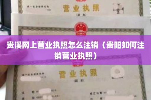 贵溪网上营业执照怎么注销（贵阳如何注销营业执照）