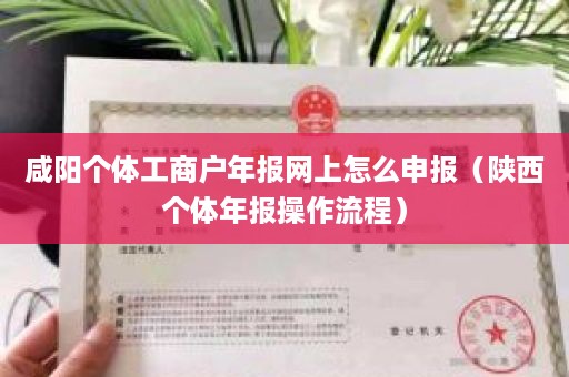 咸阳个体工商户年报网上怎么申报（陕西个体年报操作流程）