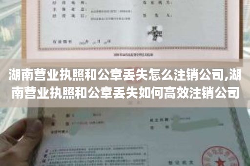 湖南营业执照和公章丢失怎么注销公司,湖南营业执照和公章丢失如何高效注销公司